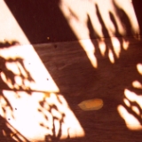 shadow