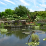 watergarden