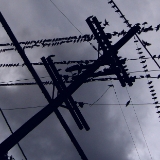birdsonwire-blue4x6