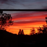 orangestreaks