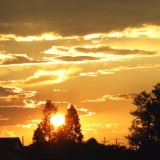 sunsettrees